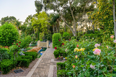 October 2023 / Tuscan-Tropical-Herb-Garden_231011_Z9C9559