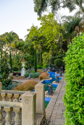 October 2023 / Tuscan-Tropical-Herb-Garden_231011_Z9C9583