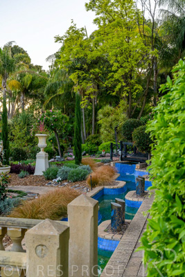 October 2023 / Tuscan-Tropical-Herb-Garden_231011_Z9C9586