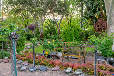 October 2023 / Tuscan-Tropical-Herb-Garden_231011_Z9C9589