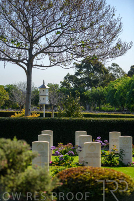 September 2023 / War-Cemetry_230928_85E1862