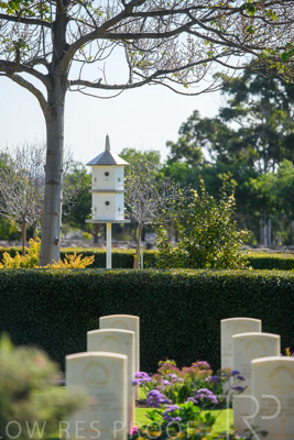 September 2023 / War-Cemetry_230928_85E1865