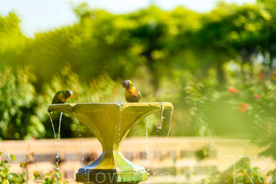 September 2023 / Wildlife_230928_85E1920