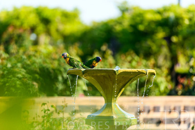 September 2023 / Wildlife_230928_85E1921