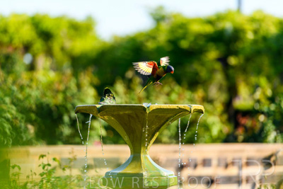 September 2023 / Wildlife_230928_85E1924