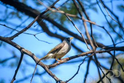 September 2023 / Wildlife_230929_85E2507