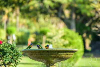 September 2023 / Wildlife_230929_Z9C4234