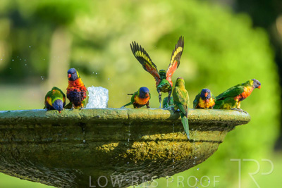 September 2023 / Wildlife_230929_Z9C4238