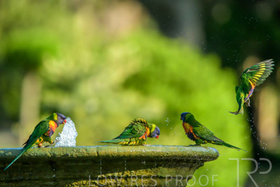 September 2023 / Wildlife_230929_Z9C4244