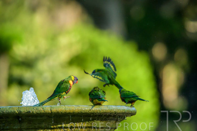 September 2023 / Wildlife_230929_Z9C4255