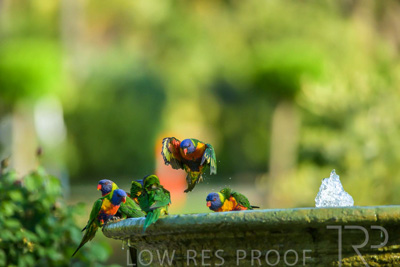 September 2023 / Wildlife_230929_Z9C4304