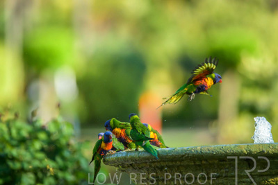 September 2023 / Wildlife_230929_Z9C4320