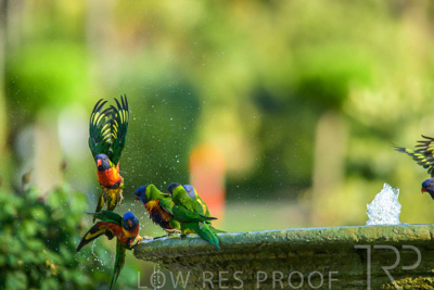 September 2023 / Wildlife_230929_Z9C4326