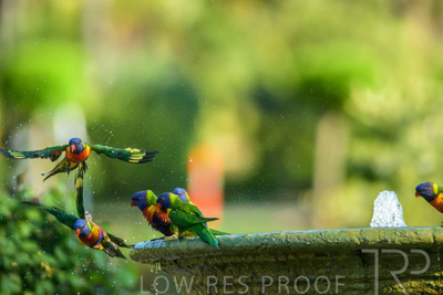 September 2023 / Wildlife_230929_Z9C4328