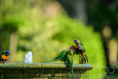 September 2023 / Wildlife_230929_Z9C4389