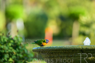 September 2023 / Wildlife_230929_Z9C4429