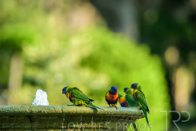 September 2023 / Wildlife_230929_Z9C4439