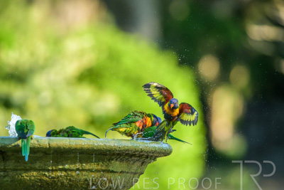 September 2023 / Wildlife_230929_Z9C4635