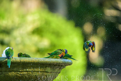 September 2023 / Wildlife_230929_Z9C4638