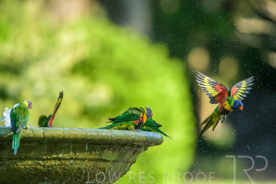 September 2023 / Wildlife_230929_Z9C4640