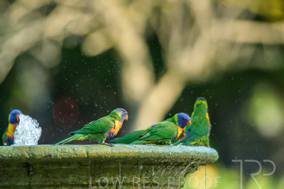 September 2023 / Wildlife_230929_Z9C4695