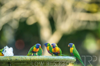 September 2023 / Wildlife_230929_Z9C4701