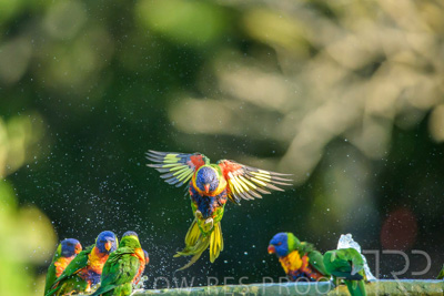 September 2023 / Wildlife_230929_Z9C4738