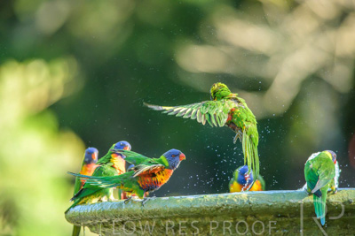 September 2023 / Wildlife_230929_Z9C4756