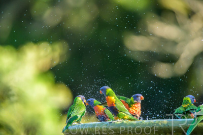 September 2023 / Wildlife_230929_Z9C4782