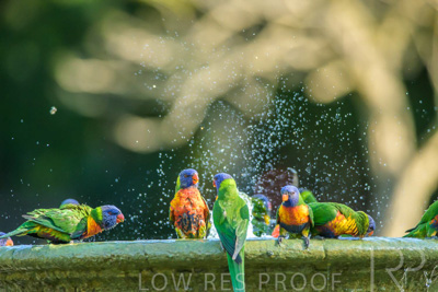 September 2023 / Wildlife_230929_Z9C4810