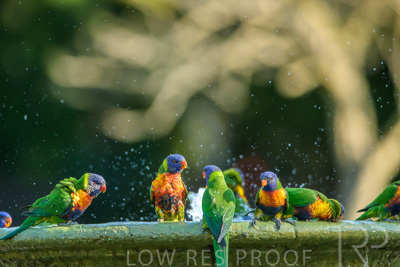 September 2023 / Wildlife_230929_Z9C4816