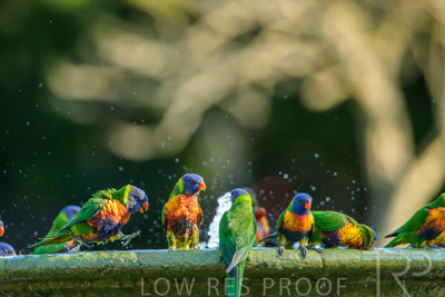 September 2023 / Wildlife_230929_Z9C4819