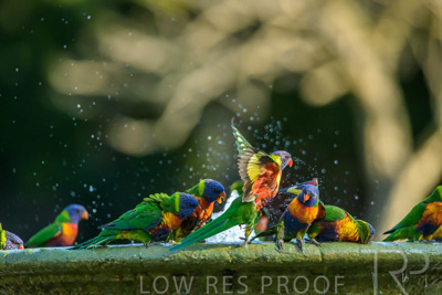 September 2023 / Wildlife_230929_Z9C4823