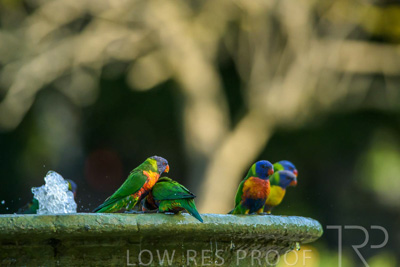 September 2023 / Wildlife_230929_Z9C4847