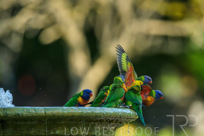 September 2023 / Wildlife_230929_Z9C4887