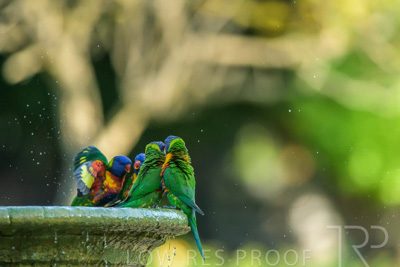 September 2023 / Wildlife_230929_Z9C4896