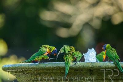 September 2023 / Wildlife_230929_Z9C4900