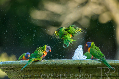 September 2023 / Wildlife_230929_Z9C4905