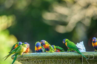 September 2023 / Wildlife_230929_Z9C5013