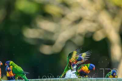 September 2023 / Wildlife_230929_Z9C5038