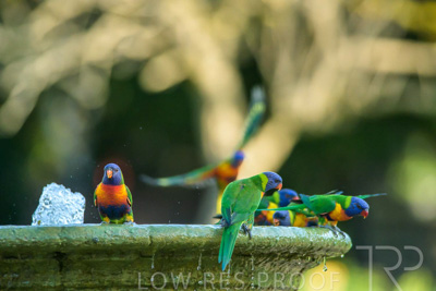 September 2023 / Wildlife_230929_Z9C5067