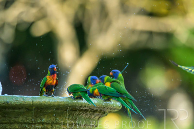 September 2023 / Wildlife_230929_Z9C5090