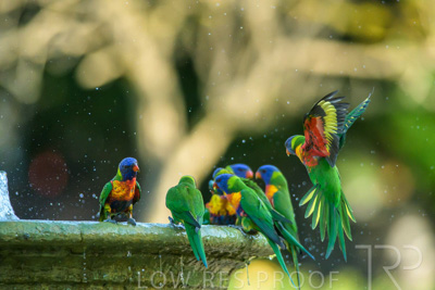 September 2023 / Wildlife_230929_Z9C5101