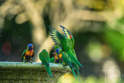 September 2023 / Wildlife_230929_Z9C5105