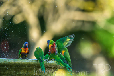 September 2023 / Wildlife_230929_Z9C5107