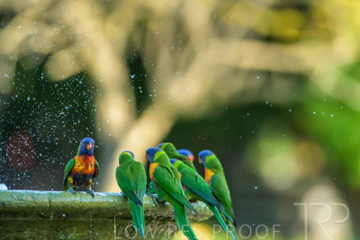 September 2023 / Wildlife_230929_Z9C5110