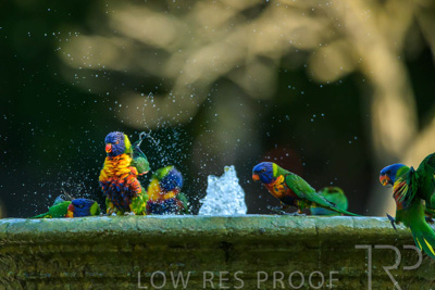 September 2023 / Wildlife_230929_Z9C5152