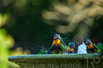 September 2023 / Wildlife_230929_Z9C5156