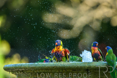 September 2023 / Wildlife_230929_Z9C5160