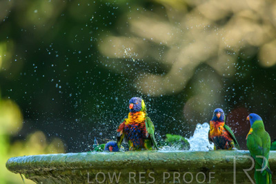 September 2023 / Wildlife_230929_Z9C5161